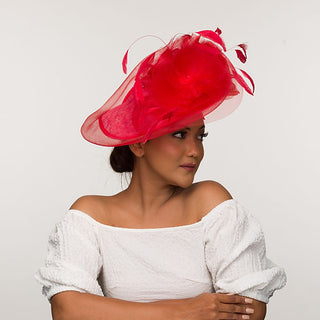 Red fascinator with feathers
