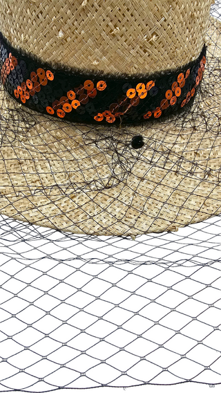 sun hat with veil